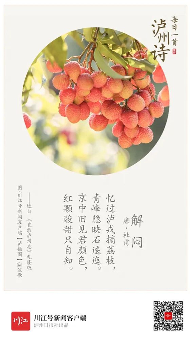 从《长安的荔枝》到泸州荔枝:追溯历史,探寻泸荔贡京路线图(图2) 64002.jpg