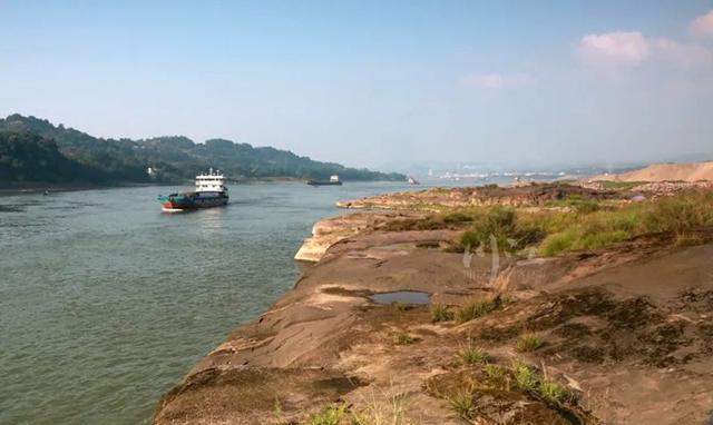 从《长安的荔枝》到泸州荔枝:追溯历史,探寻泸荔贡京路线图(图8) 64008.jpg