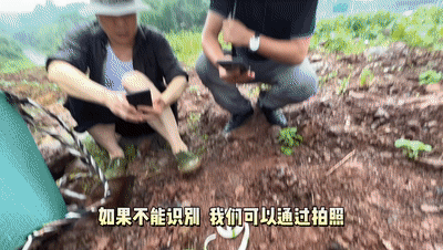 蛇出没请注意!泸州市人医储备有抗蛇毒血清,关键时刻能救命!(图4) 4.gif