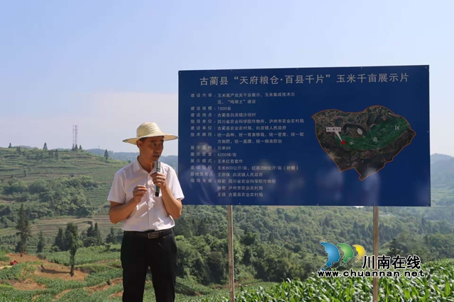 古蔺白泥：四维赋能，党员干部“学讲送闯” 激活乡村振兴新动能