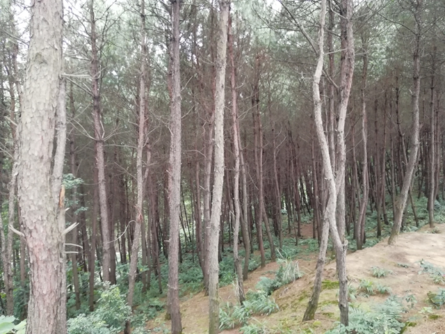 川南龙贯山的山名变迁及神奇传说(图2) 2.jpg