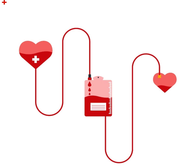 西南医大附院:无偿献血者,血费减免一次都不跑(图2) 血2.png