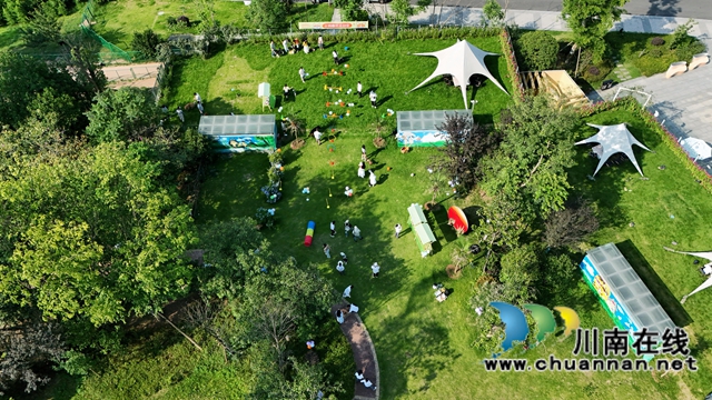 小狗撒欢运动会现场全景。 (1).JPG