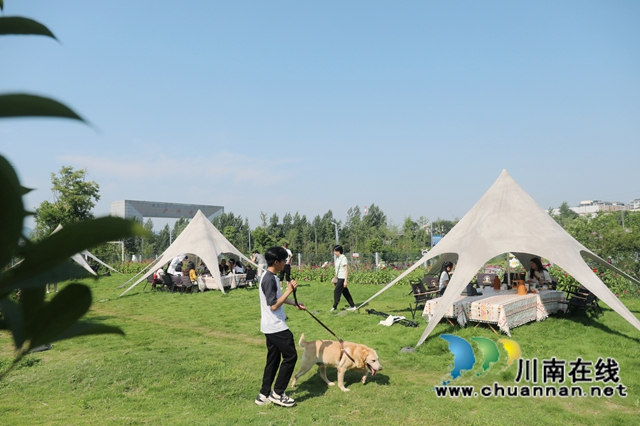 “萌宠+露营”项目.JPG