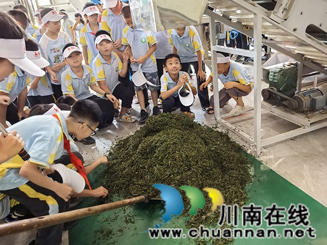 叙永镇东大街小学开展“茶山拾趣探茶韵 研学之行助成长”主题研学活动(图2) 参观制茶.jpg