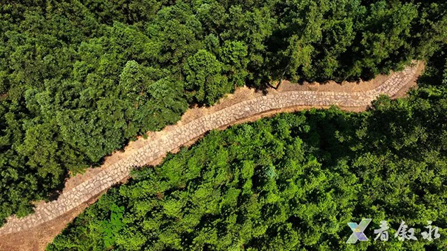 叙永发现一条2.7公里盐马古道,是迄今保存最完好、形制最高的官道,疑似杨升庵、奢香夫人出川入滇黔通道(图2) 2.jpg