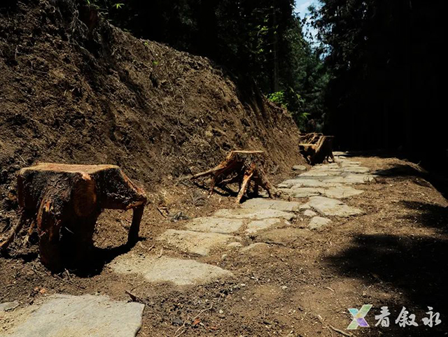 叙永发现一条2.7公里盐马古道,是迄今保存最完好、形制最高的官道,疑似杨升庵、奢香夫人出川入滇黔通道(图3) 3.jpg