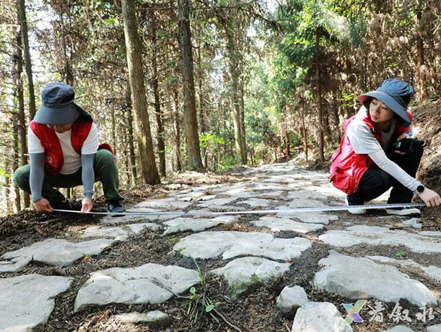 叙永发现一条2.7公里盐马古道,是迄今保存最完好、形制最高的官道,疑似杨升庵、奢香夫人出川入滇黔通道(图4) 4.jpg