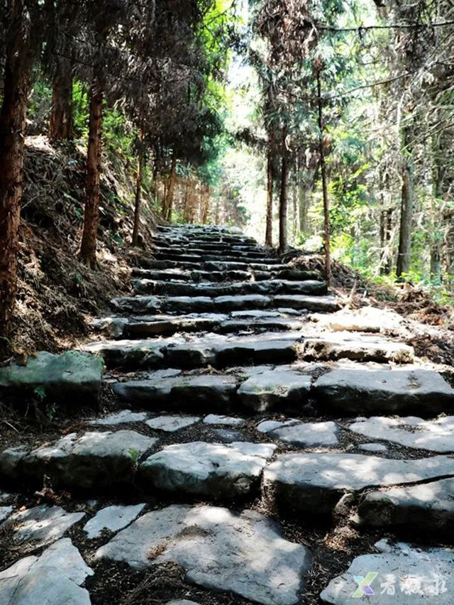 叙永发现一条2.7公里盐马古道,是迄今保存最完好、形制最高的官道,疑似杨升庵、奢香夫人出川入滇黔通道(图5) 5.jpg