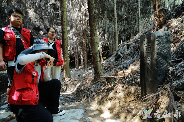 叙永发现一条2.7公里盐马古道,是迄今保存最完好、形制最高的官道,疑似杨升庵、奢香夫人出川入滇黔通道(图7) 7.jpg