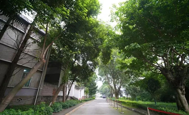 西南医大附院建院75周年·名科巡展|心身医学中心:定制“心药”, 守护心“晴”(图9) 9.jpg