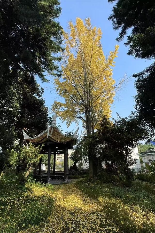 西南医大附院建院75周年·名科巡展|心身医学中心:定制“心药”, 守护心“晴”(图11) 11.jpg