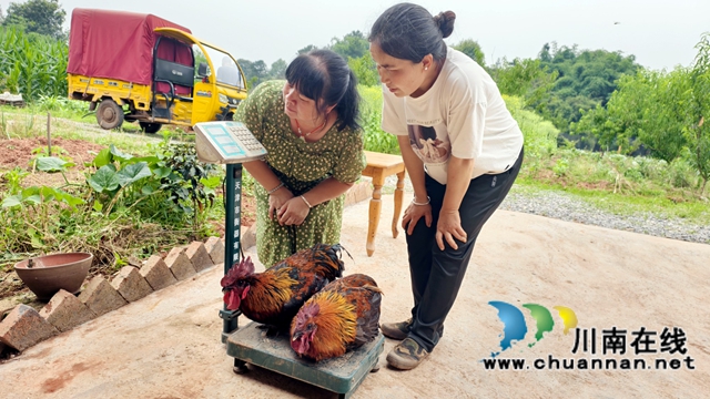 图2：客人上门购买土鸡.jpg