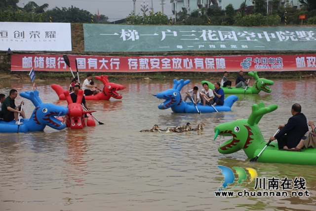 龙舟竞渡抢鸭子（李桂涟摄）.jpg