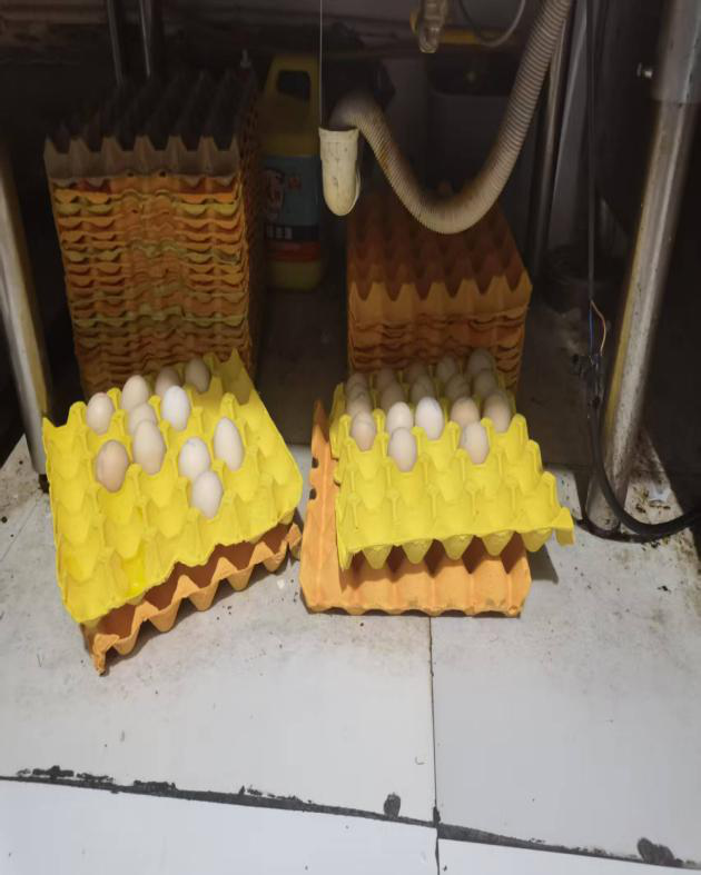 泸州市食品安全“红黑榜”(第七十一期)(图13) 13.png