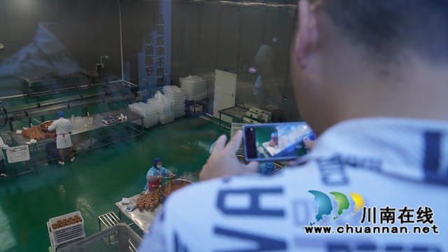 网络名人齐聚纳溪 全方位探寻“产业密码”(图3) 纳溪3.jpg