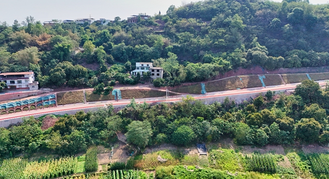 最新实拍!龙马潭这条路预计年内全线贯通(图9) 9.jpg