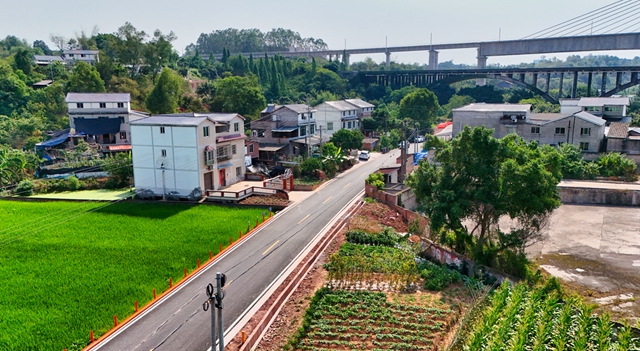 最新实拍!龙马潭这条路预计年内全线贯通(图11) 11.jpg