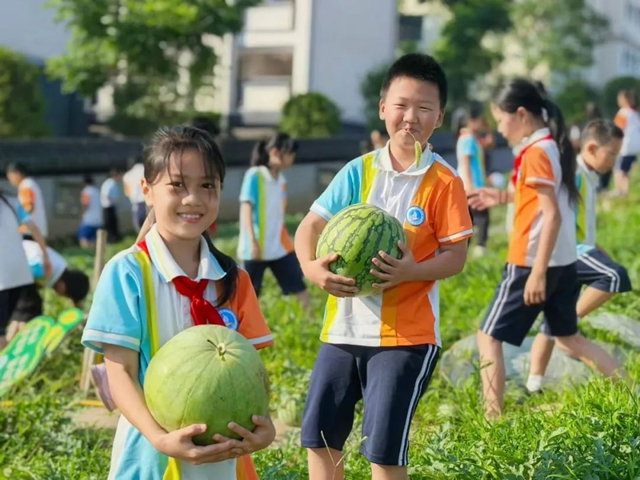 一校一景 | 劳动实践·摘西瓜!泸州这所学校的西瓜别样甜(图2) 2.jpg