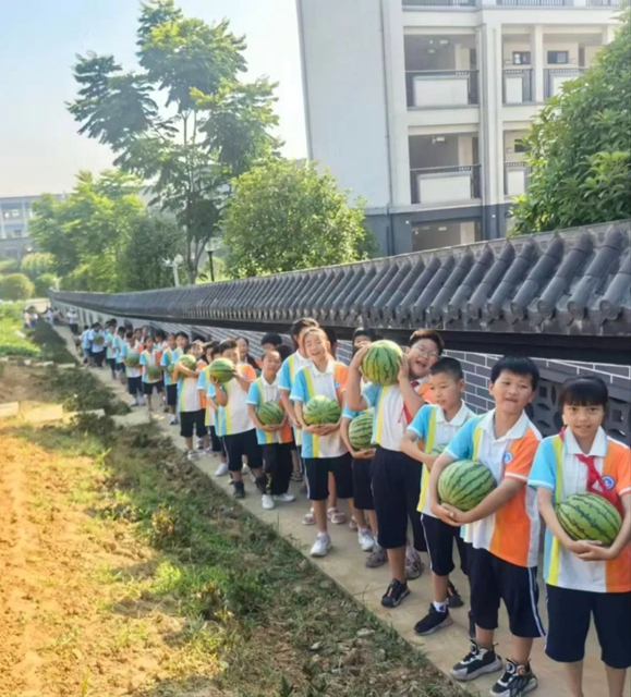 一校一景 | 劳动实践·摘西瓜!泸州这所学校的西瓜别样甜(图3) 3.jpg