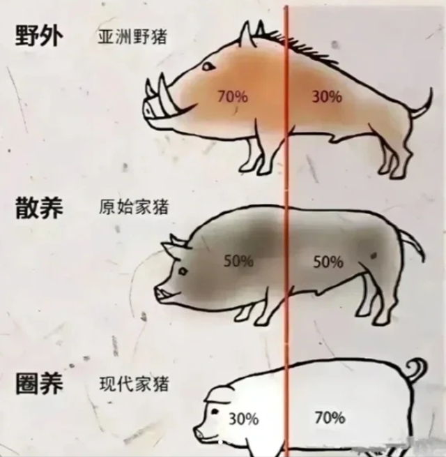 合江县中医医院建院40周年·科普 | 经常运动和不运动的人，有啥区别？