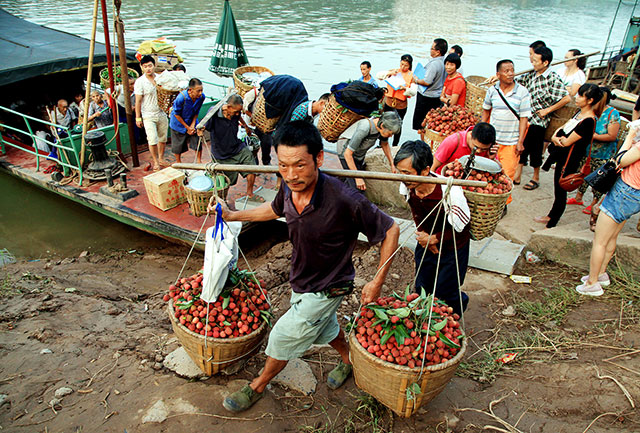 此心安处是吾乡——一枚荔枝里的古今乡愁与民心安处(图3) 图片3.jpg