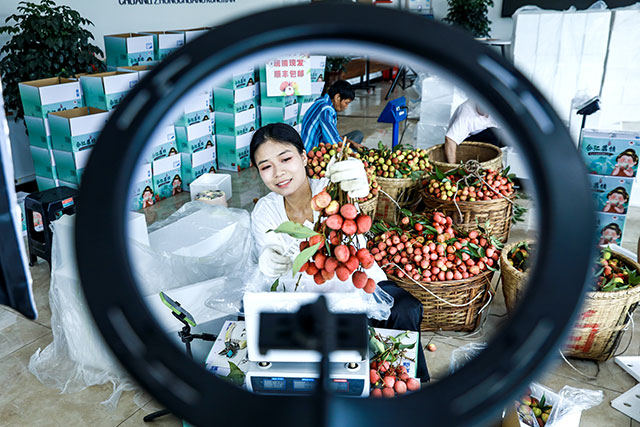 此心安处是吾乡——一枚荔枝里的古今乡愁与民心安处(图5) 图片5.jpg