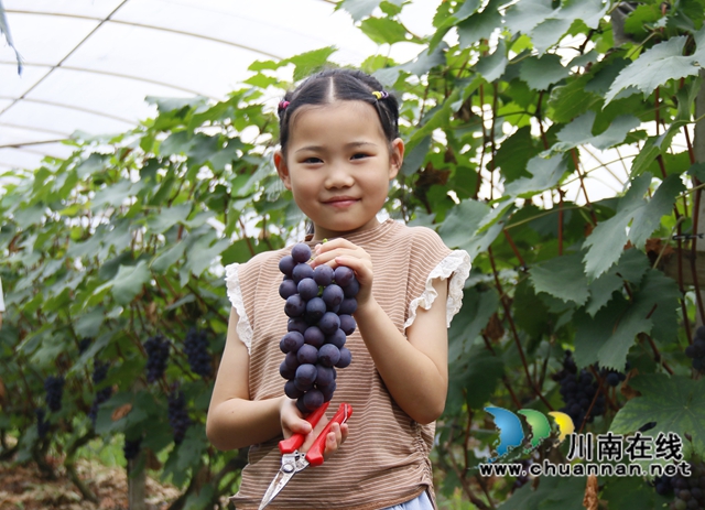 少伦葡萄园生态园 (3).jpg