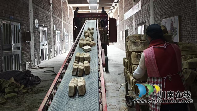 纳溪：进企业听详情 纾困解难促发展