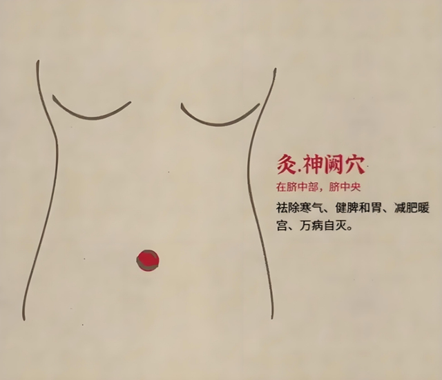 【围观】这个夏天，让你的脐脐“艾”上火！