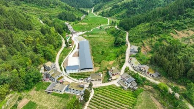 古蔺县蚕桑专家工作站成立