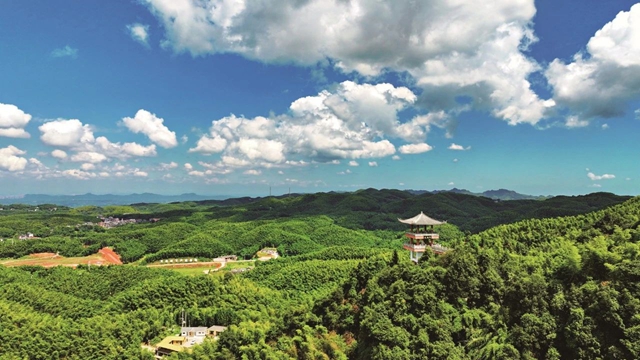 龙３.jpg
