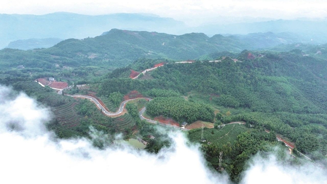 龙２.jpg