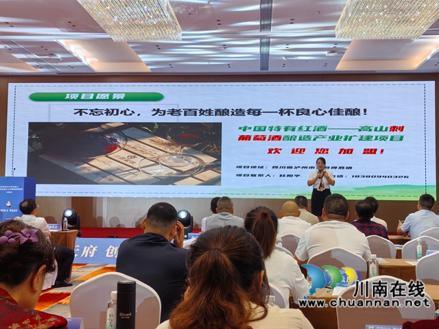 《中国特有红酒——高山刺葡萄酒酿造产业扩建项目》负责人杜阳平向参加活动的嘉宾及企业家代表推介项目2.jpg