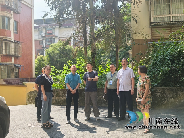 龙马潭区小市街道杜家街社区开展“115—代表在找我暨联络站一线牵 点亮居民微心愿”活动(图5) 5.jpg