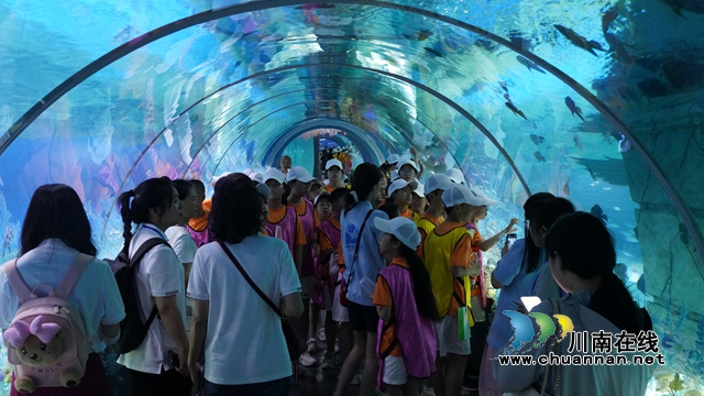 纳溪:多彩缤纷夏令营开启夏日多元成长之旅(图2) 玩2.jpg