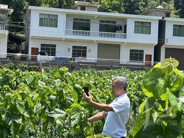 让“一把钥匙打开多把锁” 返乡创业的“养蚕哥”有了新“丝”路(图3) 13.jpg