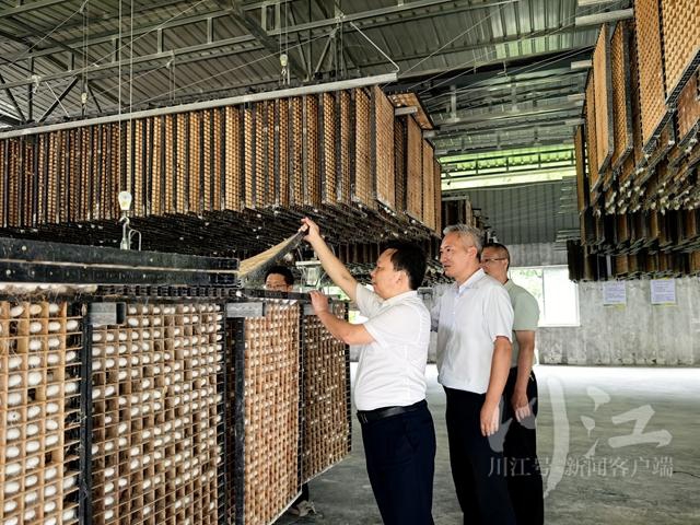 让“一把钥匙打开多把锁” 返乡创业的“养蚕哥”有了新“丝”路(图4) 14.jpg