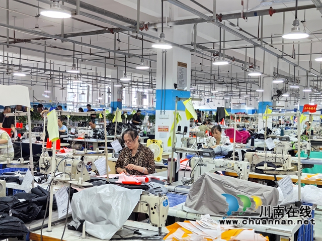 泸县政协专题视察农民工服务保障工作，共绘就业增收“幸福画卷”