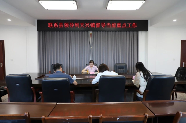 泸县人大常委会副主任罗晓玲率队到天兴镇督导当前重点工作