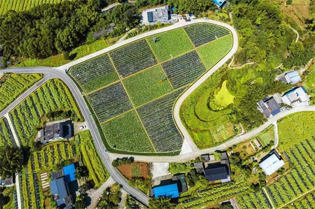 纳溪文旅融合新场景项目拟获省上支持,泸州仅2个(图3) 3.jpg