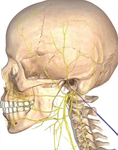 鼻炎老火?试试这个“鼻炎天下第一针”!(图4) 4.jpg