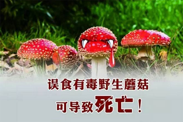 【太吓人】网购蘑菇种子自己种,泸州夫妻双双中毒休克,遭得惨……(图3) 3.jpg