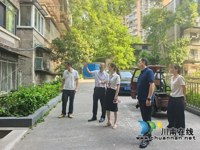 龙马潭区小市街道杜家街社区：人大代表高温走访听民声，精准施策保用电安全