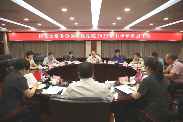 龙马潭区人大常委会调研区法院上半年重点工作