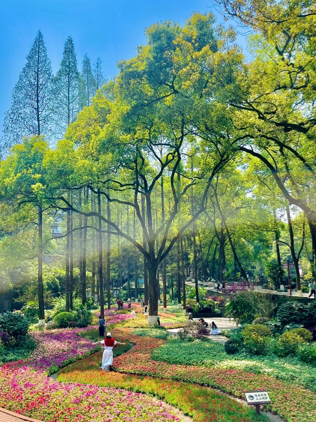 【央视推荐】坐公交解锁“彩汇国潮 撞色泸州”同款打卡地(图5) 6405.jpg