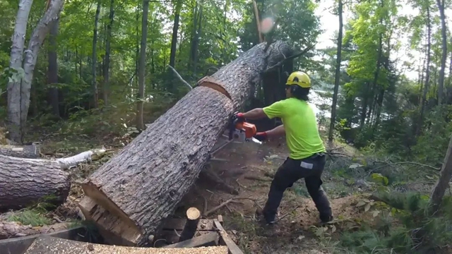 男子砍树,右眼球破裂……(图2) 6402.jpg