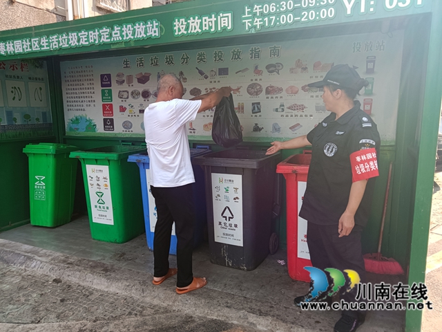 龙马潭区鱼塘街道：垃圾分类宣传见成效 居民主动参与成新风尚
