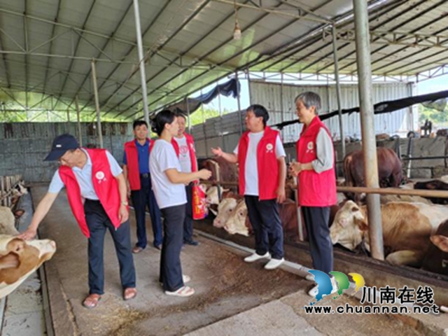 泸县：“银发力量”赋动能  “老有所为”谱新篇