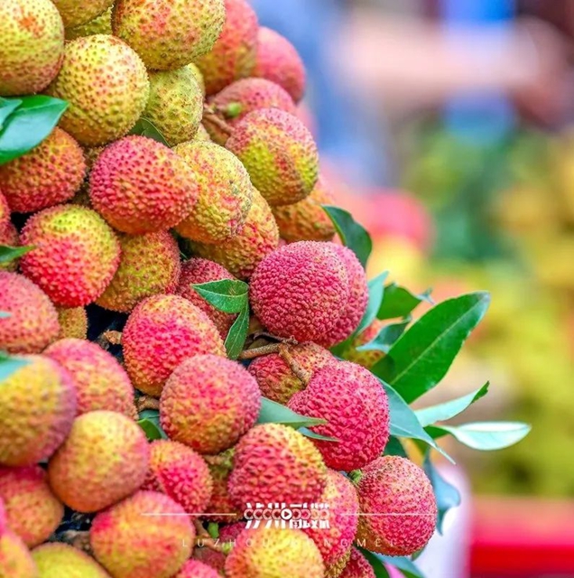 文旅商如何深度融合?泸州三区四县提出这些办法(图14) 14.jpg